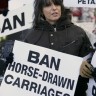PETA - prosvjed Chrissie Hynde