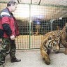 Tigrovi se ne spašavaju zatočavanjem