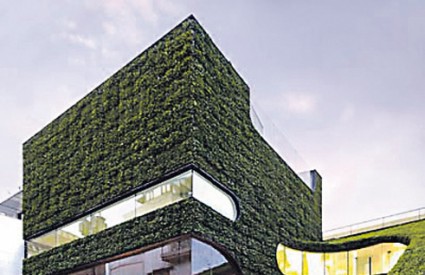 Dućan se nalazi u Seoulu, u Koreji