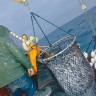 Ribarstvo na Sredozemlju krenulo prema zakonitosti i održivom upravljanju