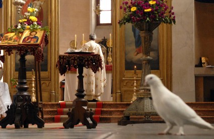 Bijela golubica doletjela je u crkvu za vrijeme održavanja mise u pravoslavnoj crkvi u Dubrovniku  