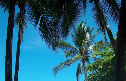 Na Plažama Kostarike odmaraju se brojne svjetske zvijezde