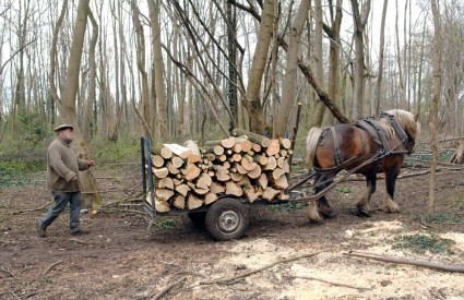 Ove godine dodijelit će se 11 milijuna bespovratnih kuna za razvoj poljoprivrede, ruralnog razvitka, šumarstva i ribarstva