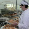 Njemačka: Jaja zaražena dioksinom uznemirila potrošače