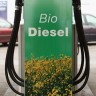 Tko još pita za biogorivo?