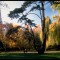 park-ribnjak.jpg