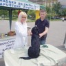 Stroži nadzor mikročipiranja pasa u Zagrebu
