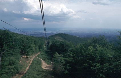 Sve je manje šume na Medvednici