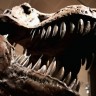 Otkriven gotovo sačuvani skelet dinosaura