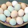 Mađarski sud: Gađajte jajima koga hoćete