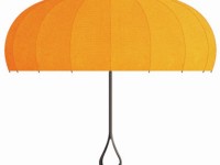 Doshi Levien - Umbrella project