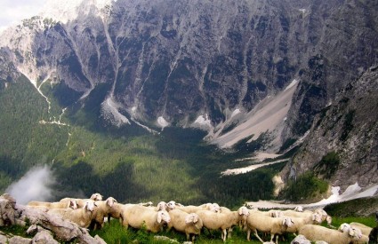 Dobra ideja... Dobra ideja...