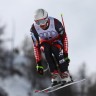 Janka zlatni, Zrnčić-Dim 27.