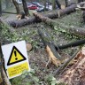 Vjetar u Zagrebu srušio stablo i na "saniranom" Dubravkinom putu