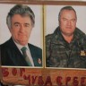 Većina građana Srbije ne želi Mladića iza rešetaka