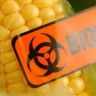 Zbog GMO usjeva koristi se više herbicida