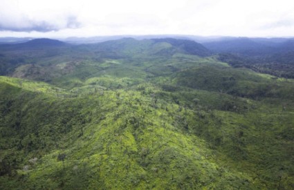 Deforestacija se nastavlja... Deforestacija se nastavlja...