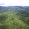 U minuti nestane šuma veličine 36 nogometnih igrališta