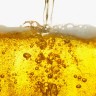 Bavarci utjehu traže u 7100 litara pive