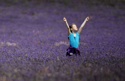 Lavanda će potjerati i muhe i moljce