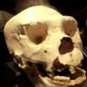Europljani su bili kanibali prije 1,3 milijuna godina