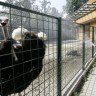 Zagrebački i skopski ZOO smatraju da je za uginuće životinja kriv prijevoznik