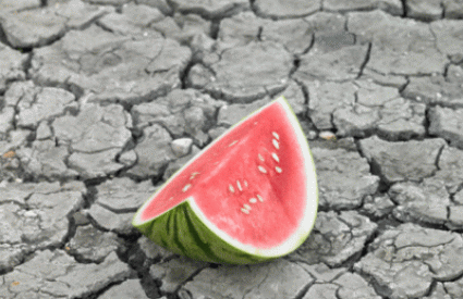 Ako vam je koža ovakva, jedite lubenicu :)