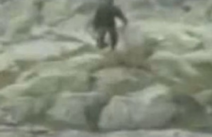 To je za nepalske Jetije, a Bigfoot?