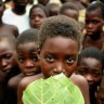 Malavijska djeca radnici svakodnevno se truju nikotinom 