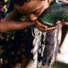 Bez čiste vode živi ukupno 800 milijuna ljudi