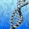U SAD se ne može patentirati ljudska DNK