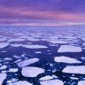 Rekordno visoke temperature na Aljasci