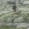 Turisti snimili poljskog Yetija