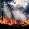 Dim požara nosi mikrobe tisućama kilometara