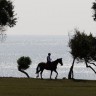 Nova turistička ponuda Brijuna - berba maslina