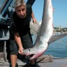 U mreži pronašao 2 metra dugačkog morskog psa