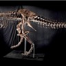 Kostur jednog od najvećih tiranosaura na dražbi