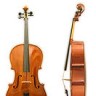Međunarodne nagrade za violončeliste Muzičke akademije