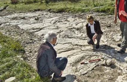 Tragovi dinosaura pokazuju paralele sa sadašnjom situacijom