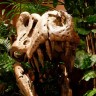 Brontomerus - nova podvrsta dinosaura