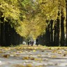 Jesen u Njemačkoj