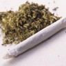 Znanstveno dokazano da marihuana pomaže u olakšavanju kronične boli