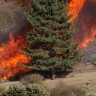 Tisuću vatrogasaca bori se s vatrenom stihijom u Kaliforniji