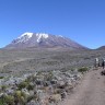 Nestaje vječni snijeg Kilimandžara