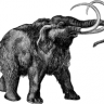Znanstvenici žele izolirati DNK mamuta