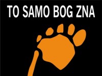 Vodimo Vas u EXIT na To samo bog zna