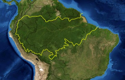 Amazona Amazona
