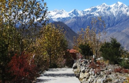 Trese se... Trese se...