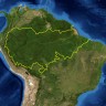 Amazona: Suša u prašumi drastično utječe na globalno zatopljenje