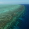 Klimatske promjene već ugrožavaju Veliki koraljni greben